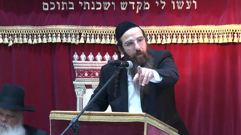זהירות קנאה תאווה וכבוד