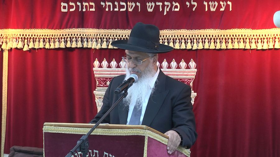 איסור ספיחין בשמיטה