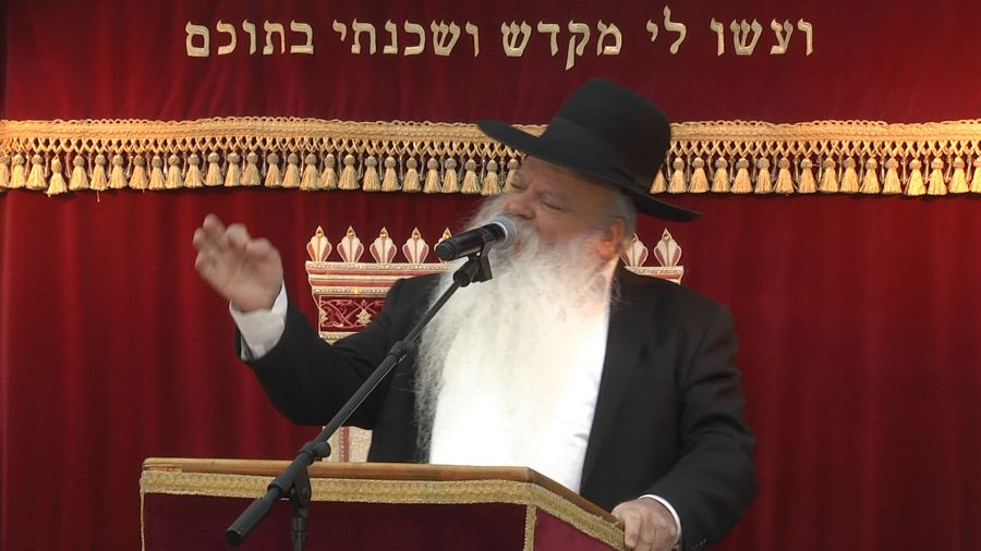 מי אשם במלחמה