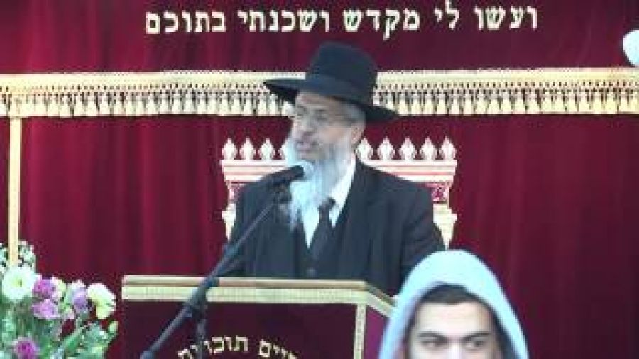 הלכות תשמישי קדושה