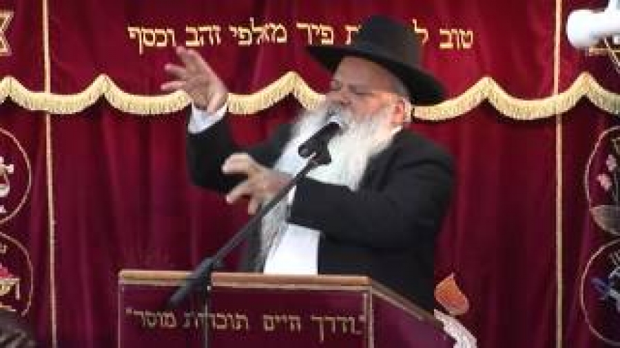 העולם כולו גשר צר מאוד