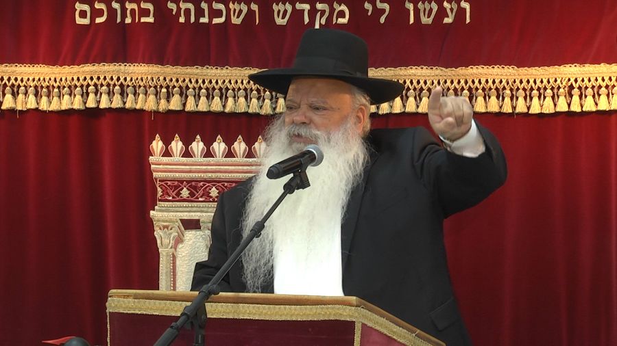 ההתמדה סוד ההצלחה