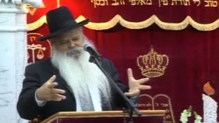 אורות הרשבי
